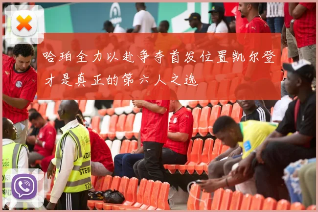 哈珀全力以赴争夺首发位置凯尔登才是真正的第六人之选